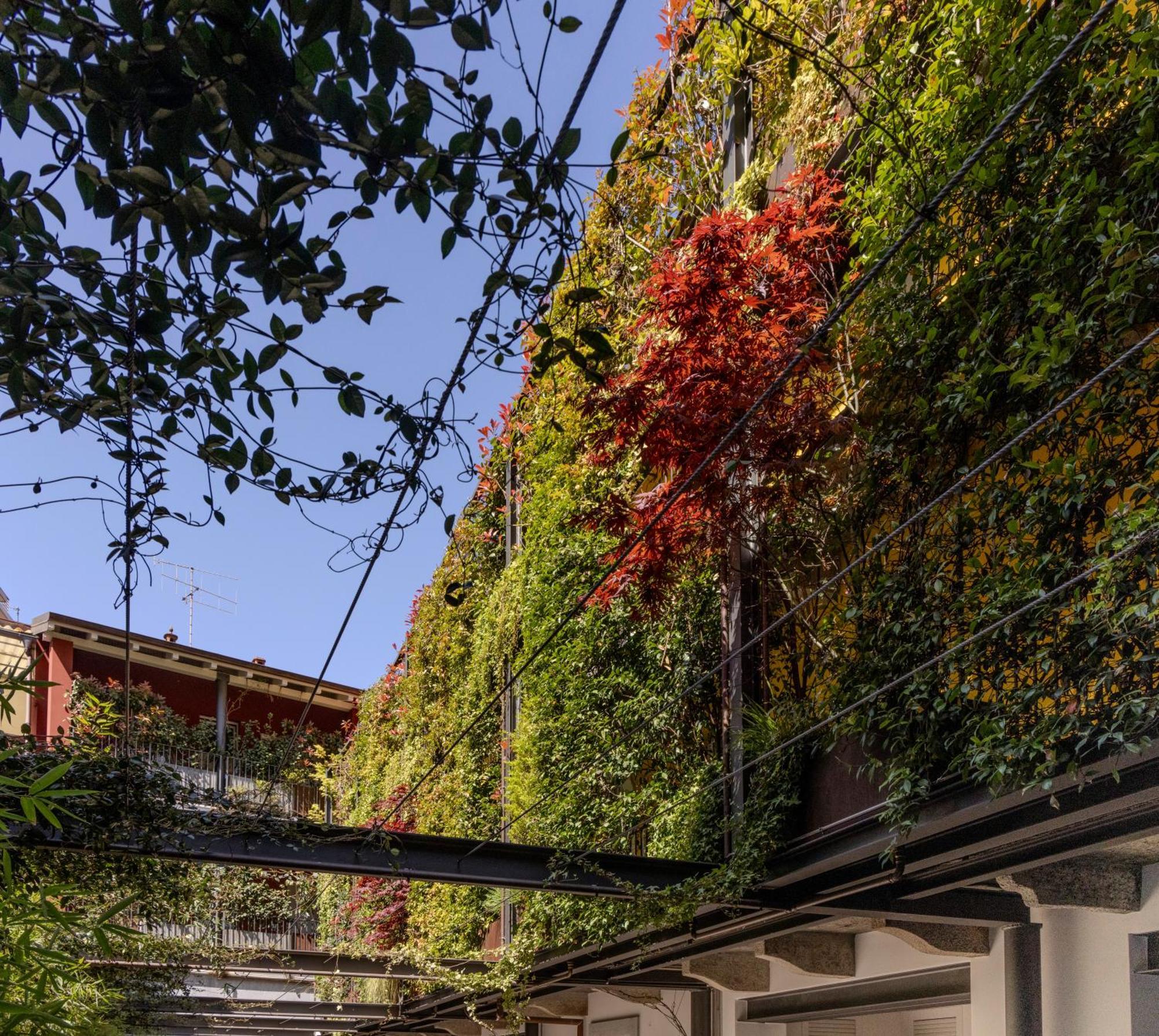 Residence Casa Coppa Appartamento Ivy Omegna Exteriér fotografie